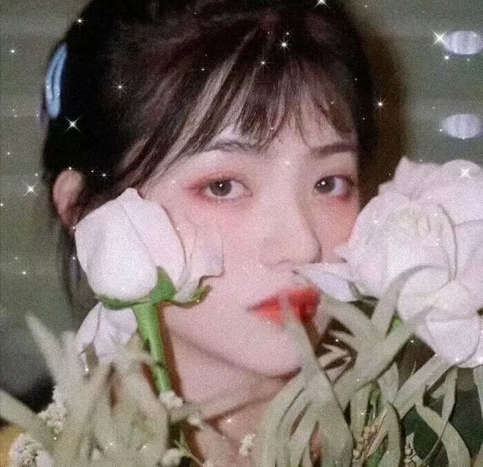 三个少年第二季