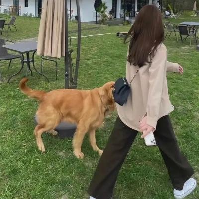 大唐小吃货